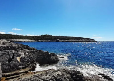 Camp Mandarino - Vrijeme u Dalmaciji - Fotografija 7